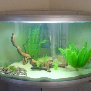 TANK_2.jpg