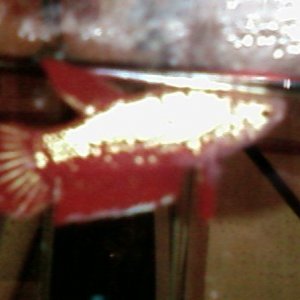 SP_A0039.jpg