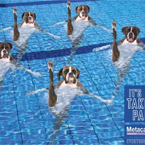 swim_2.JPG