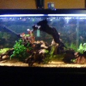 tank2.JPG