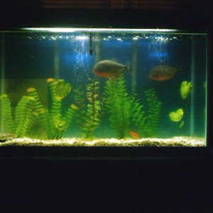 its_a_fishey_world_002__2_.jpg