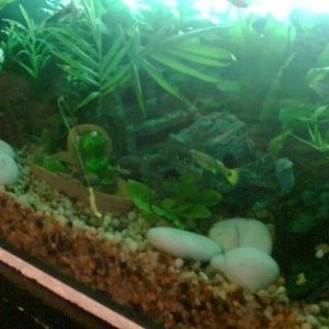 Fishtank_diff_angle_april_07.jpg