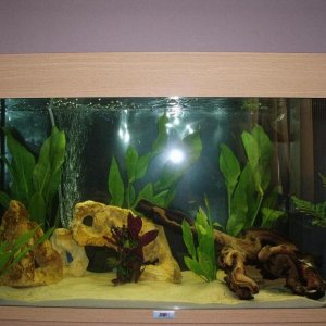 Picture_207.jpg