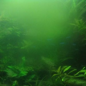 tank_008.JPG