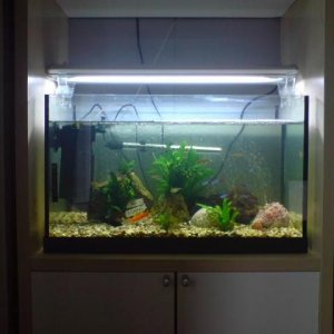 New_tank_light.JPG