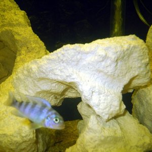 pic_3.jpg
