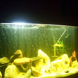 pic_5.jpg