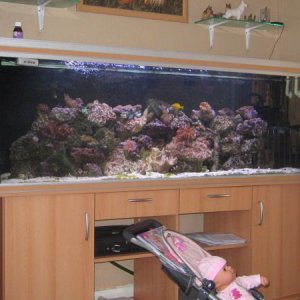 04.05.2007_074.jpg
