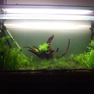 3_weeks__8n_days_004.JPG