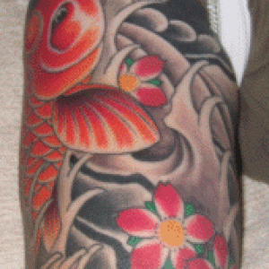 Sleeve.gif