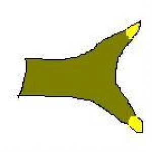 pic4.JPG