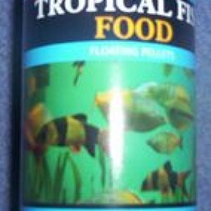food.jpg