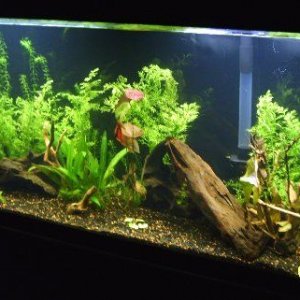 55g__6_1_07__2.jpg
