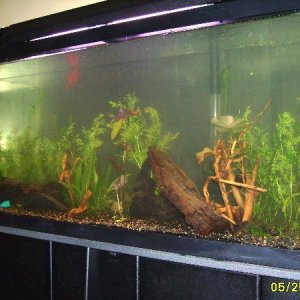 55g__6_1_07__3.jpg