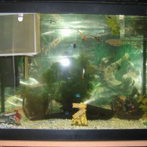 tank2.jpg