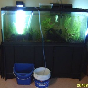 55_rescape_1.jpg
