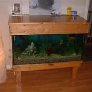 Fish_006__Small___WinCE_.jpg