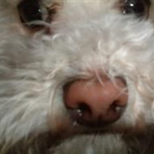 DSCF0112__WinCE_.JPG