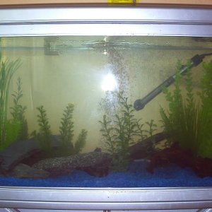 tank_pic_1.JPG