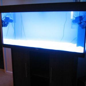 marine_002.jpg