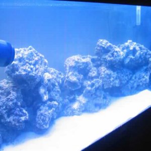 marine_002.jpg
