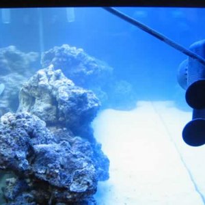 marine_003.jpg