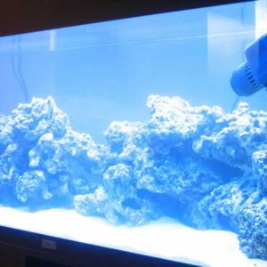 marine_004.jpg