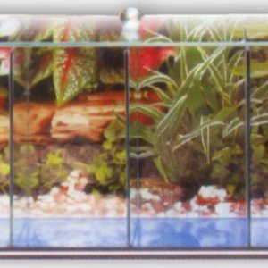 4_bay_betta_tank.jpg