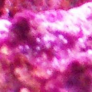 100_3630.jpg