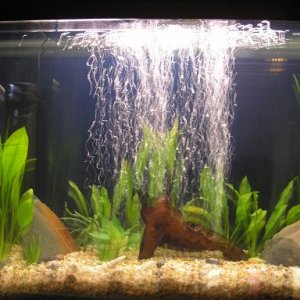 tank_1.JPG