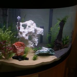 Fish_Tank2.JPG