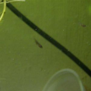 CIMG1269__Small_.JPG