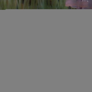 fish_november_25th_030.jpg