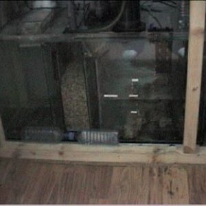 Picture_002.jpg