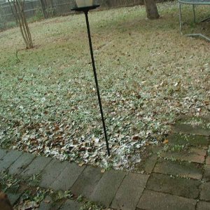 snow2.jpg