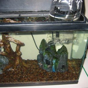 dec5_008.jpg