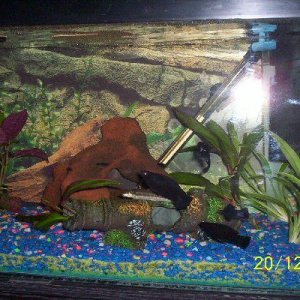 000_0184.jpg