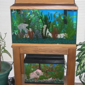 My_Aquarium_2003_2_059.jpg