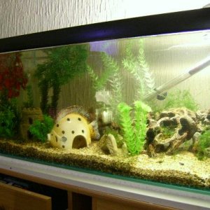 Puffer_Tank_new.jpg