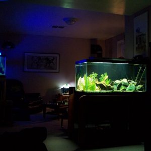 living_room_22.JPG