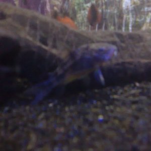 03092007064.jpg