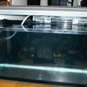 Front.JPG