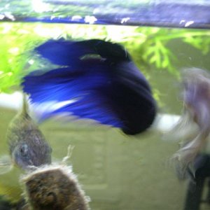 Picture_007__Small_.jpg