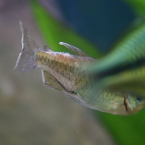 IMG_7665.jpg