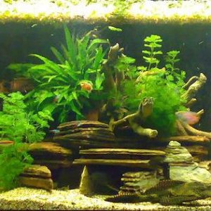 14_10_07.JPG