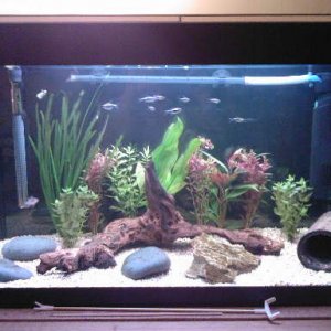 Tank_161007.jpg