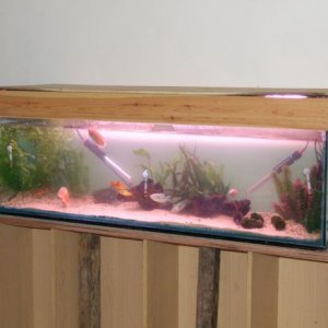 new_tank_small.jpg