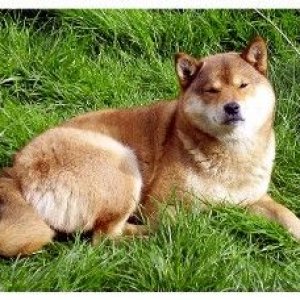 teru.jpg