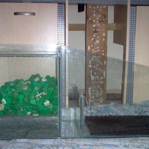sump1.JPG
