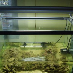 Marine_003.jpg